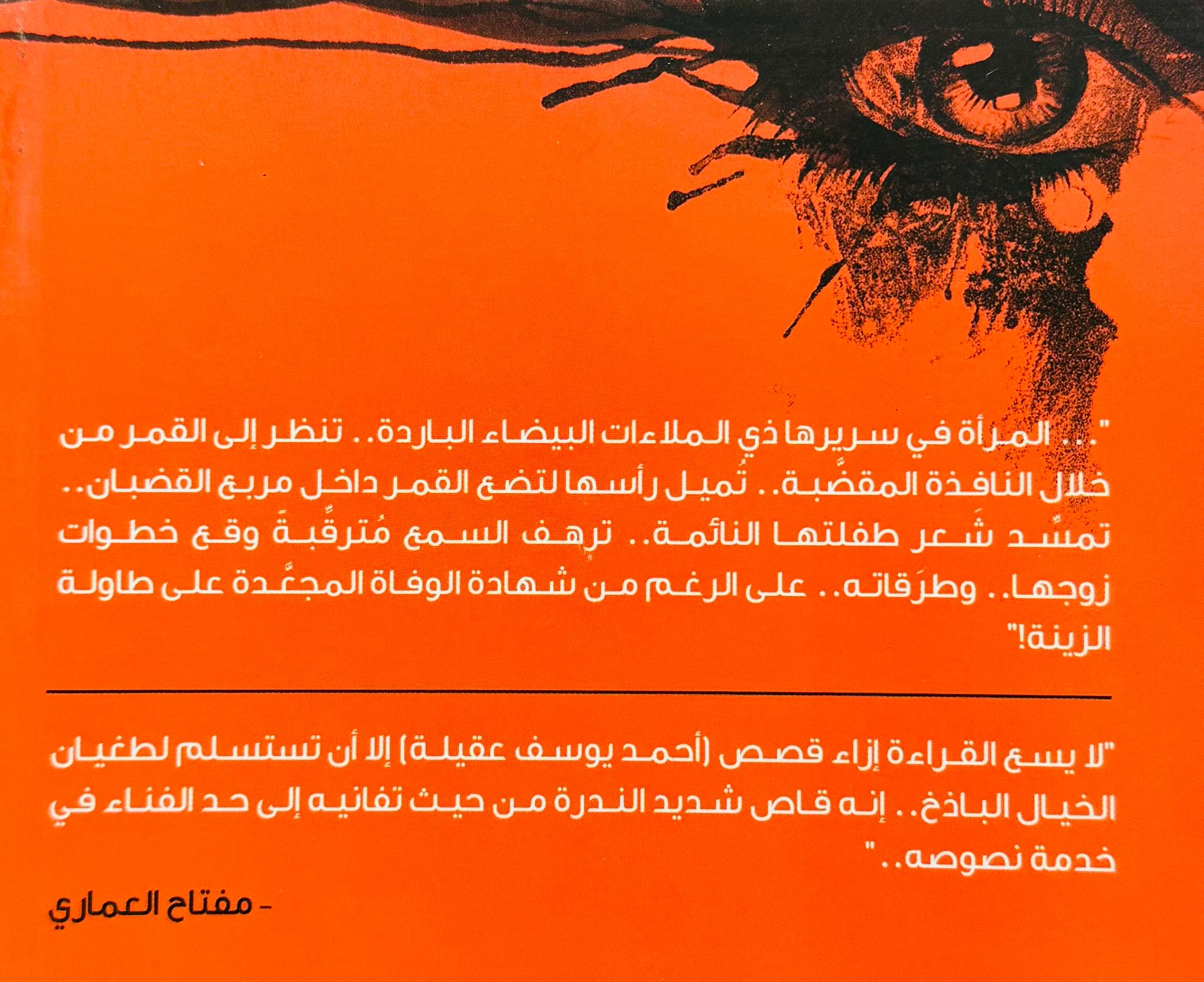 صورة 2