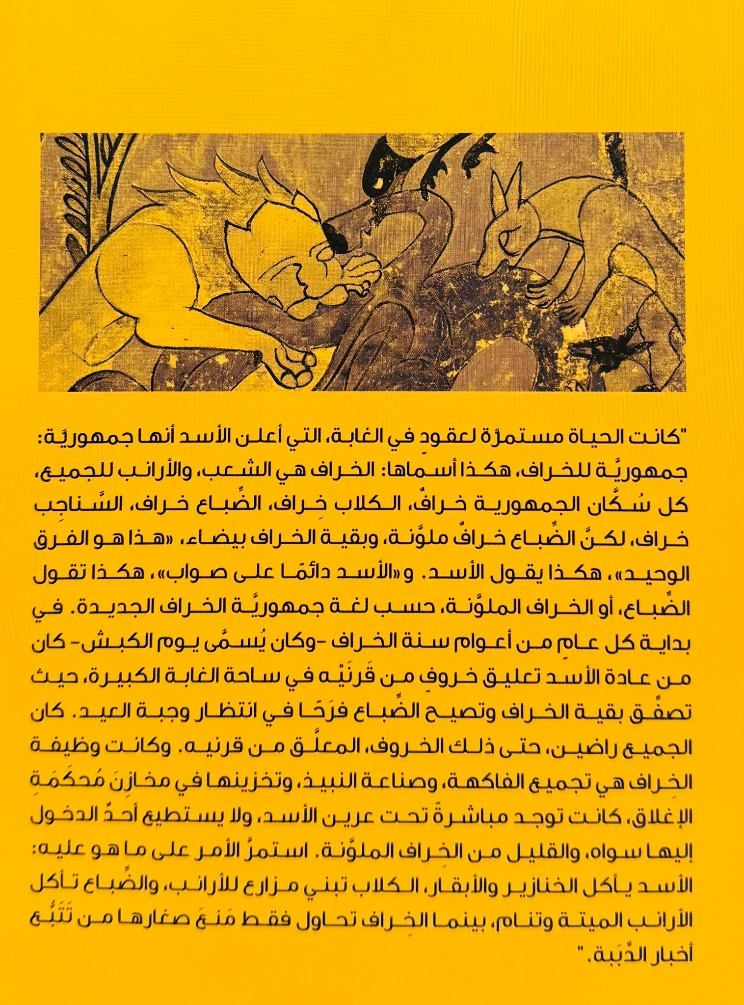 صورة 2