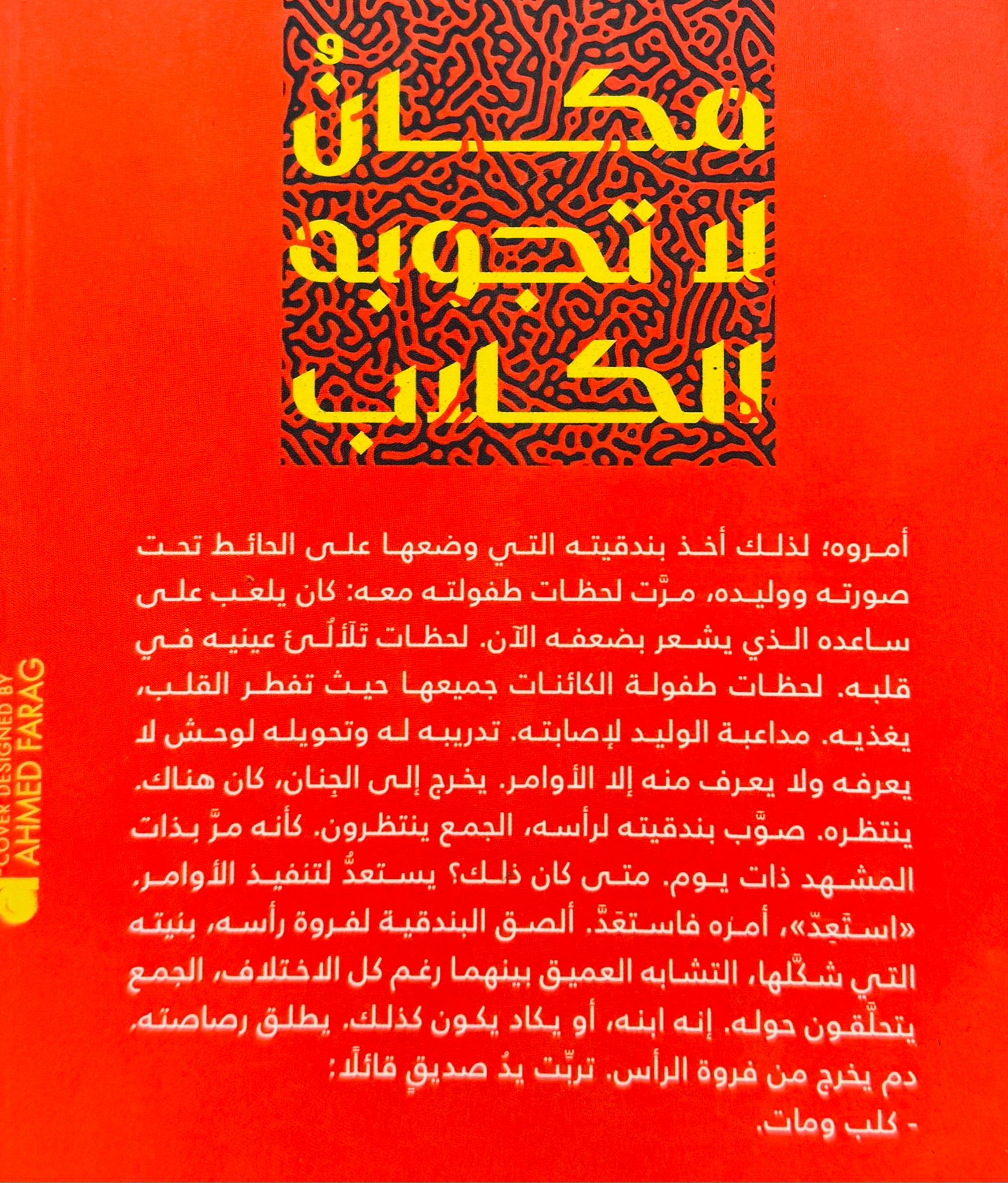 صورة 2