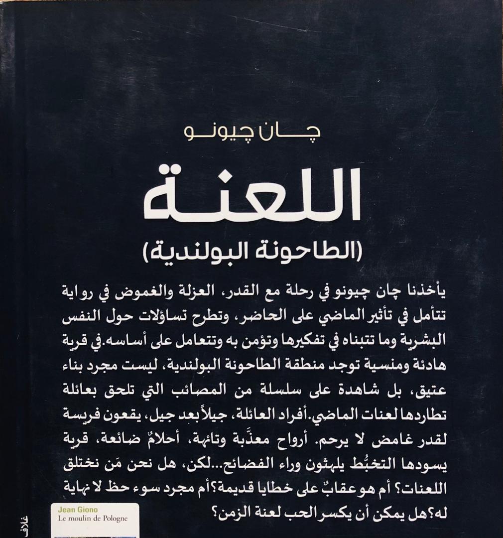 صورة 2