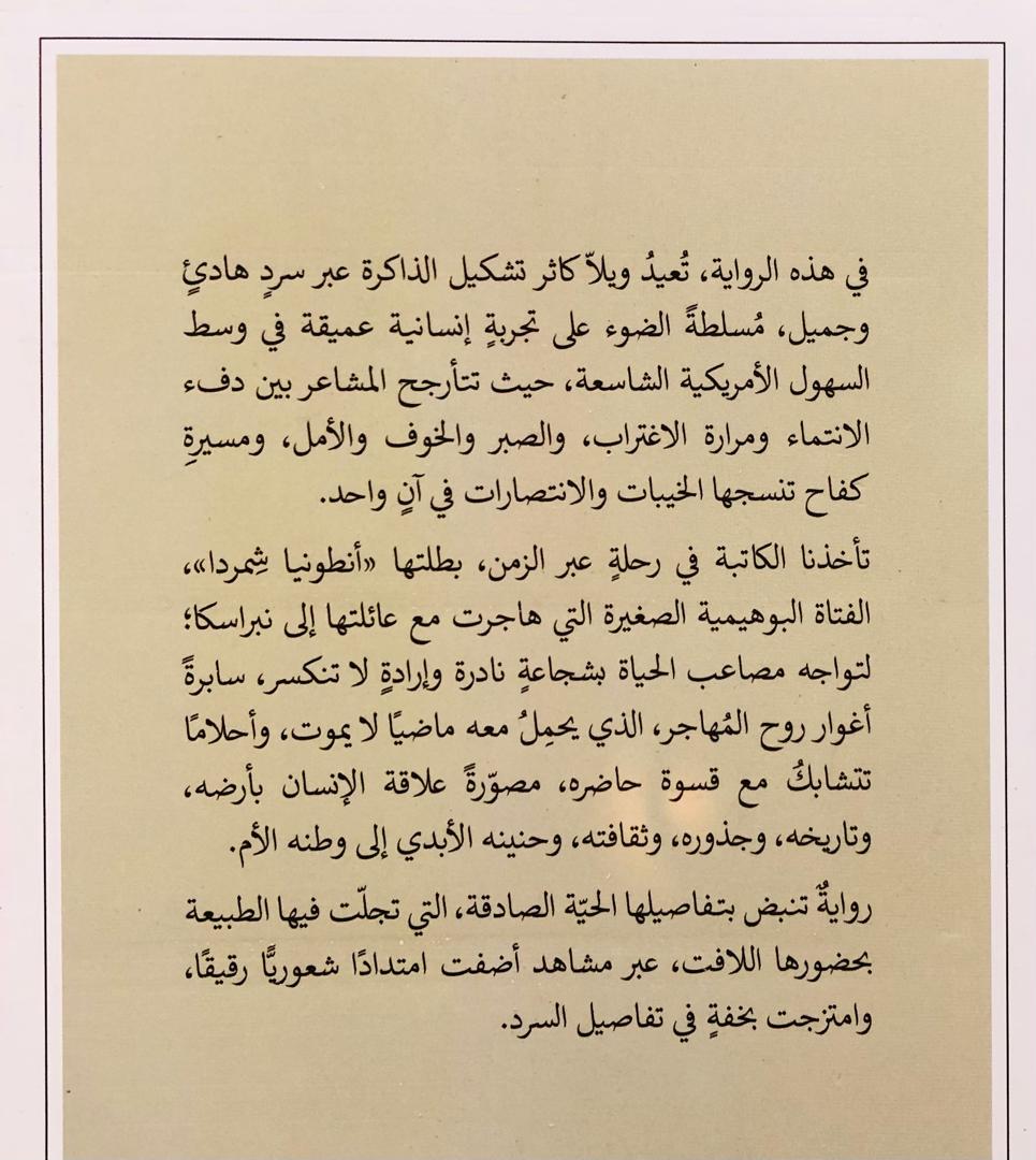 صورة 2