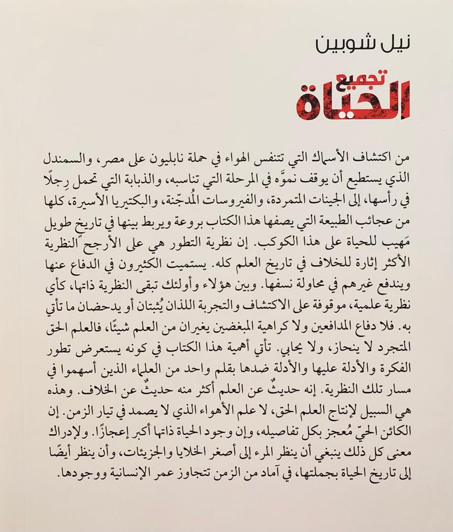 صورة 2