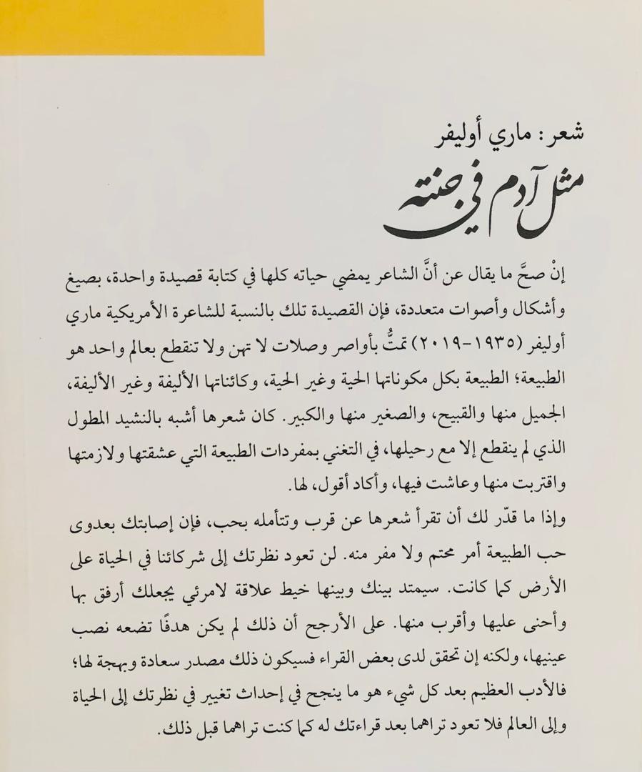 صورة 2
