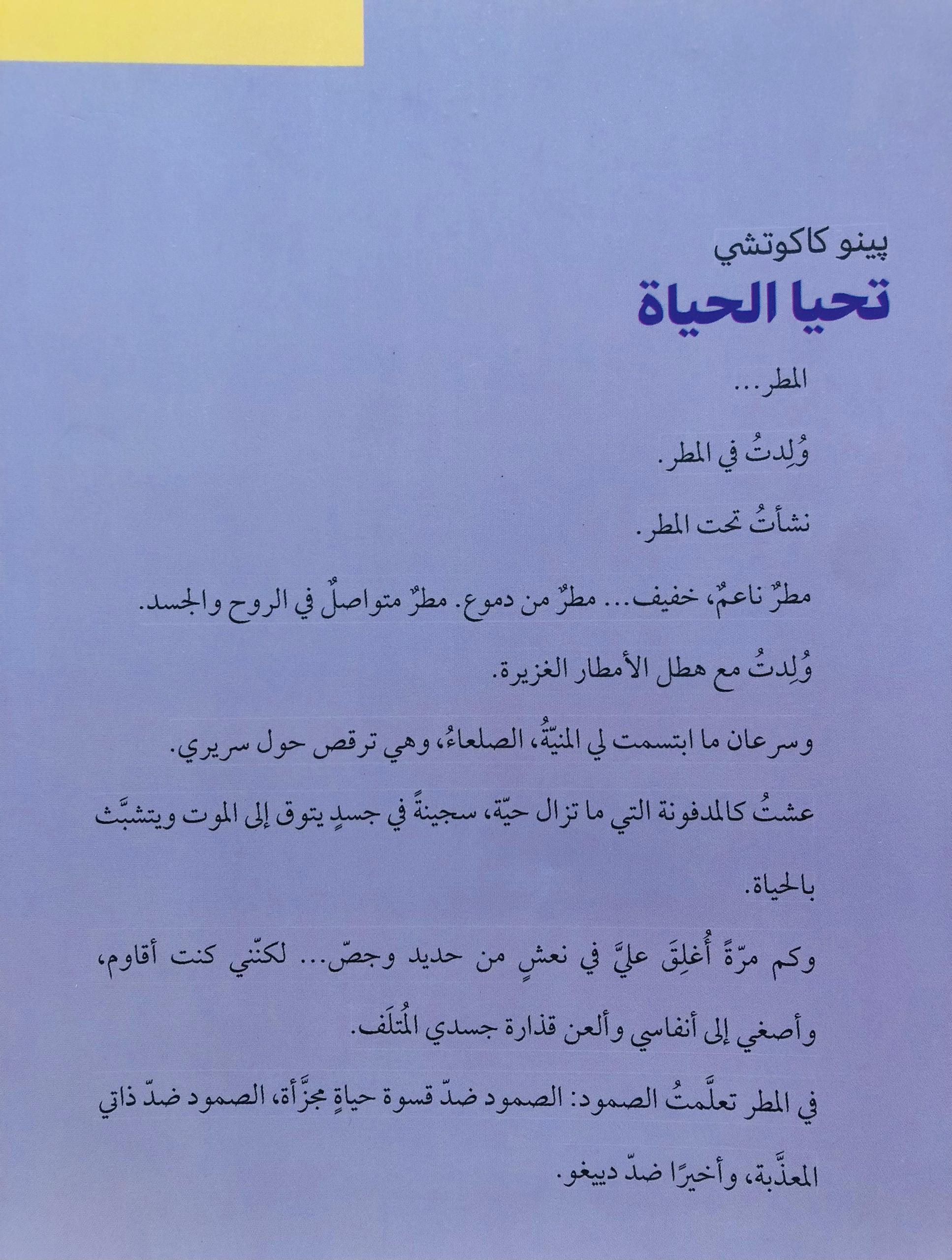 صورة 2