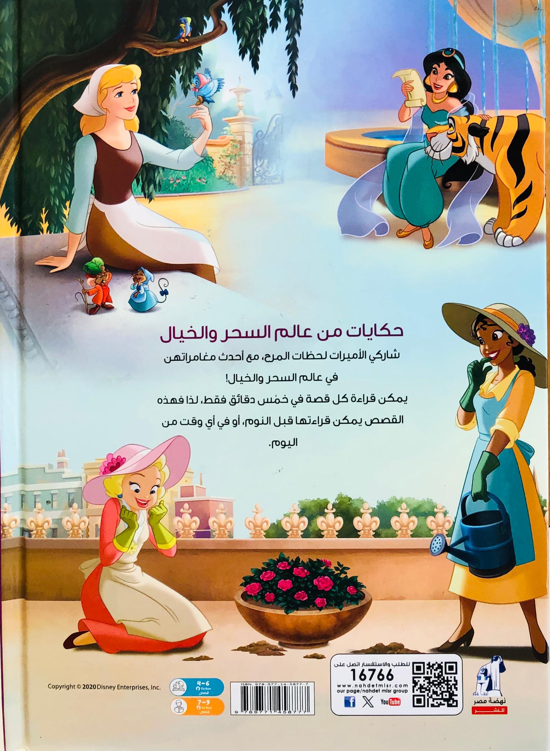 صورة 2