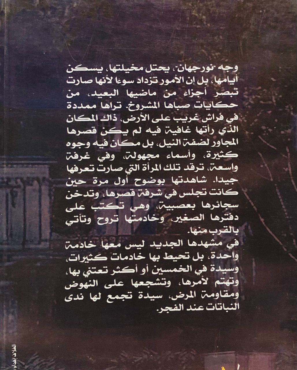 صورة 2