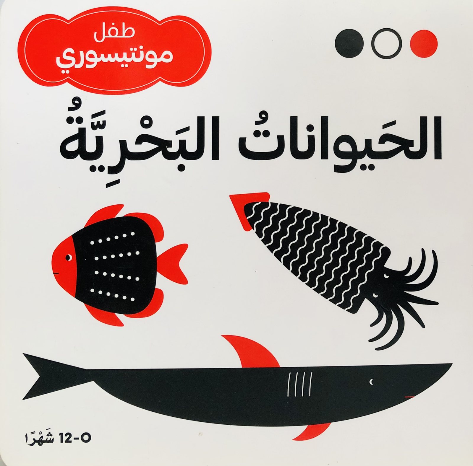 الحيوانات البحرية - طفل مونتيسوري