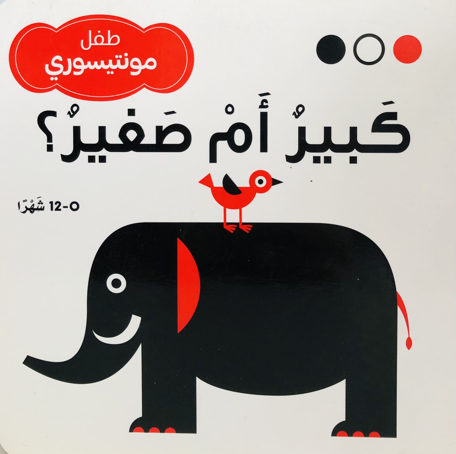 كبير أم صغير ؟ - طفل مونتيسوري