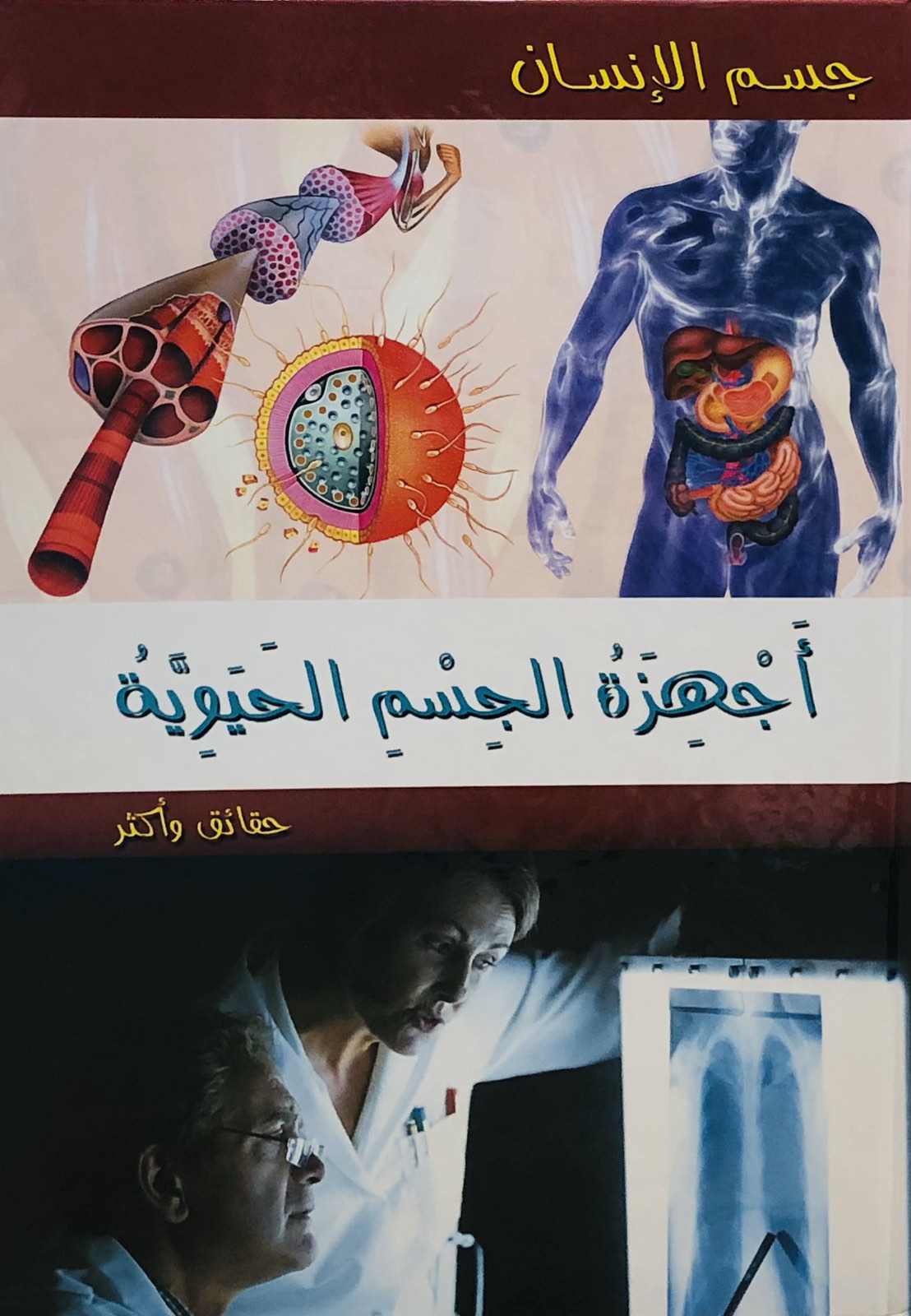 اجهزة الجسم الحيوية - موسوعة جسم الانسان