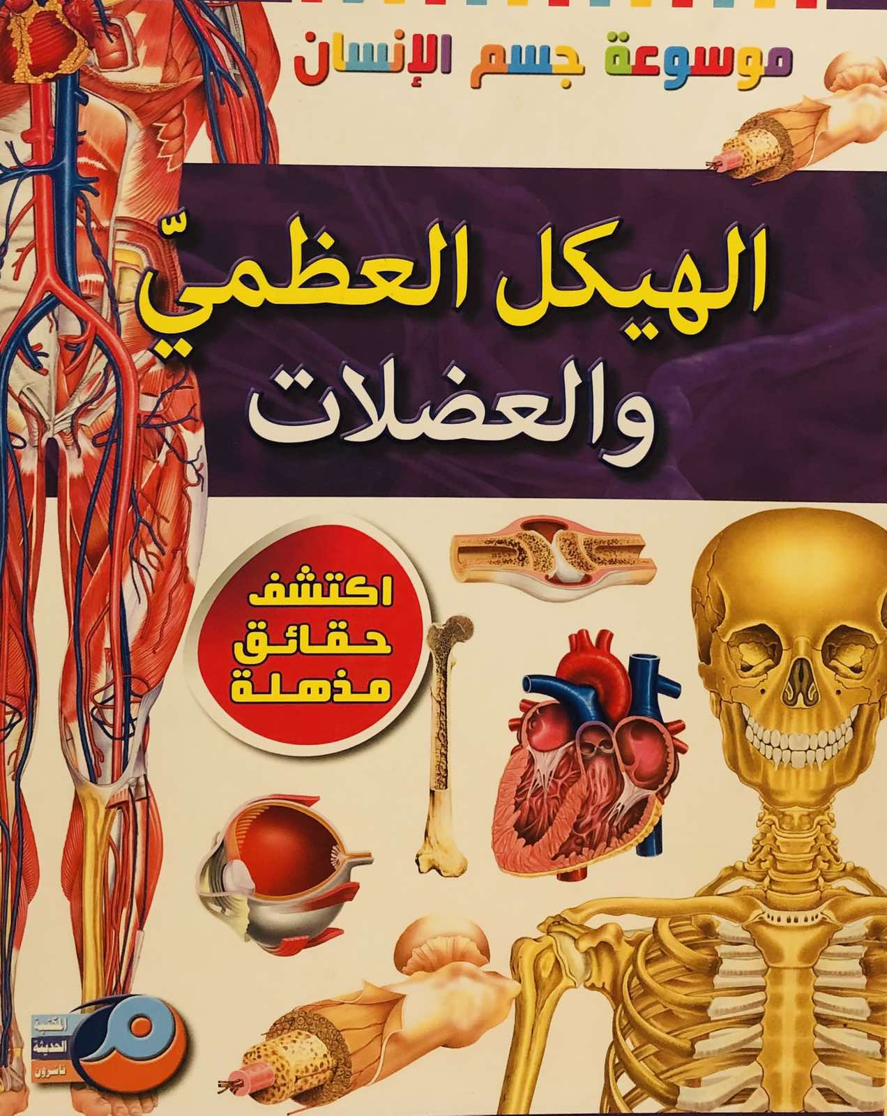 الهيكل العظمي والعضلات - موسوعة جسم اللانسان