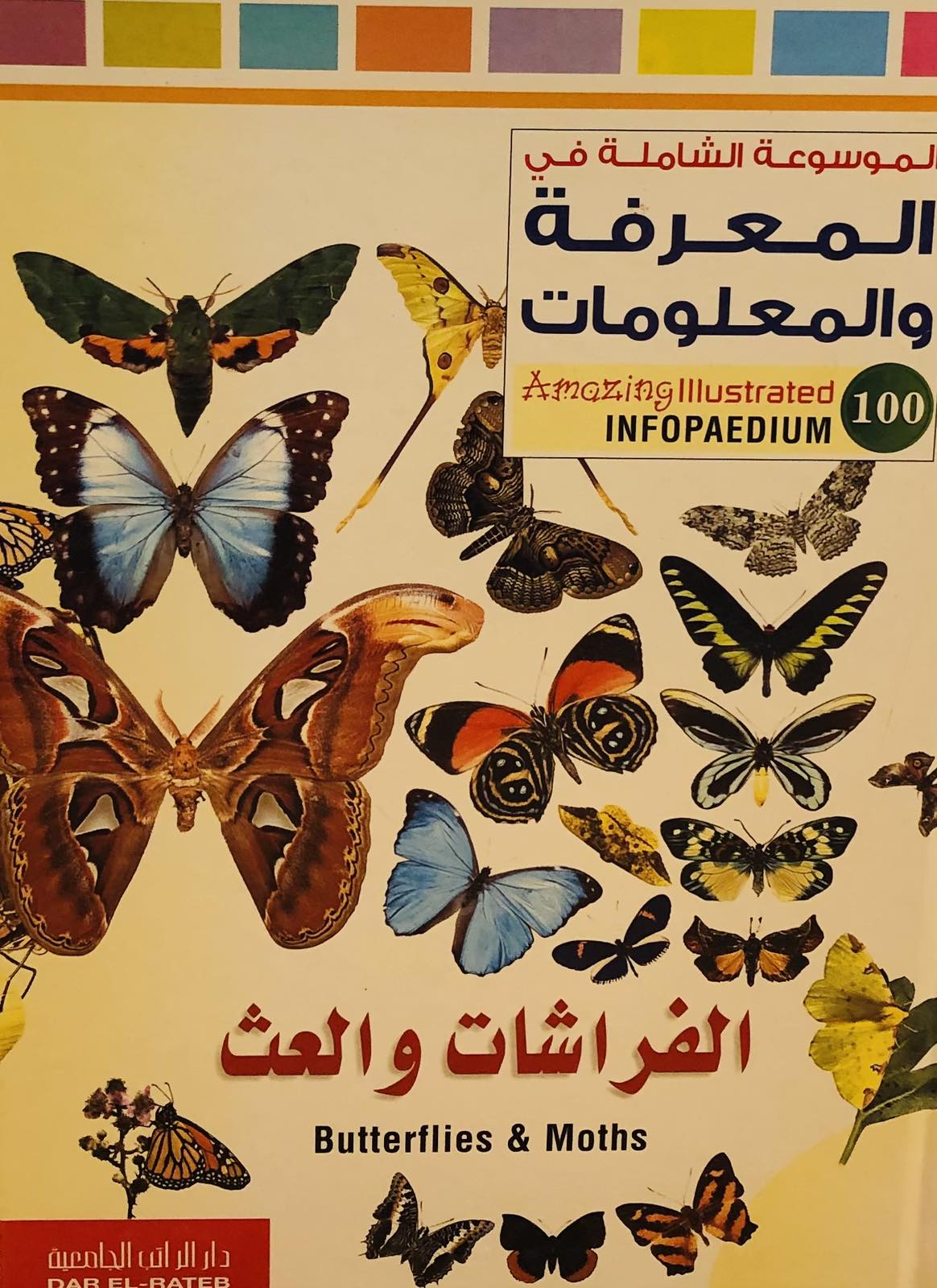 الفراشات والعث - الموسوعة الشاملة في المعرفة والمعلومات