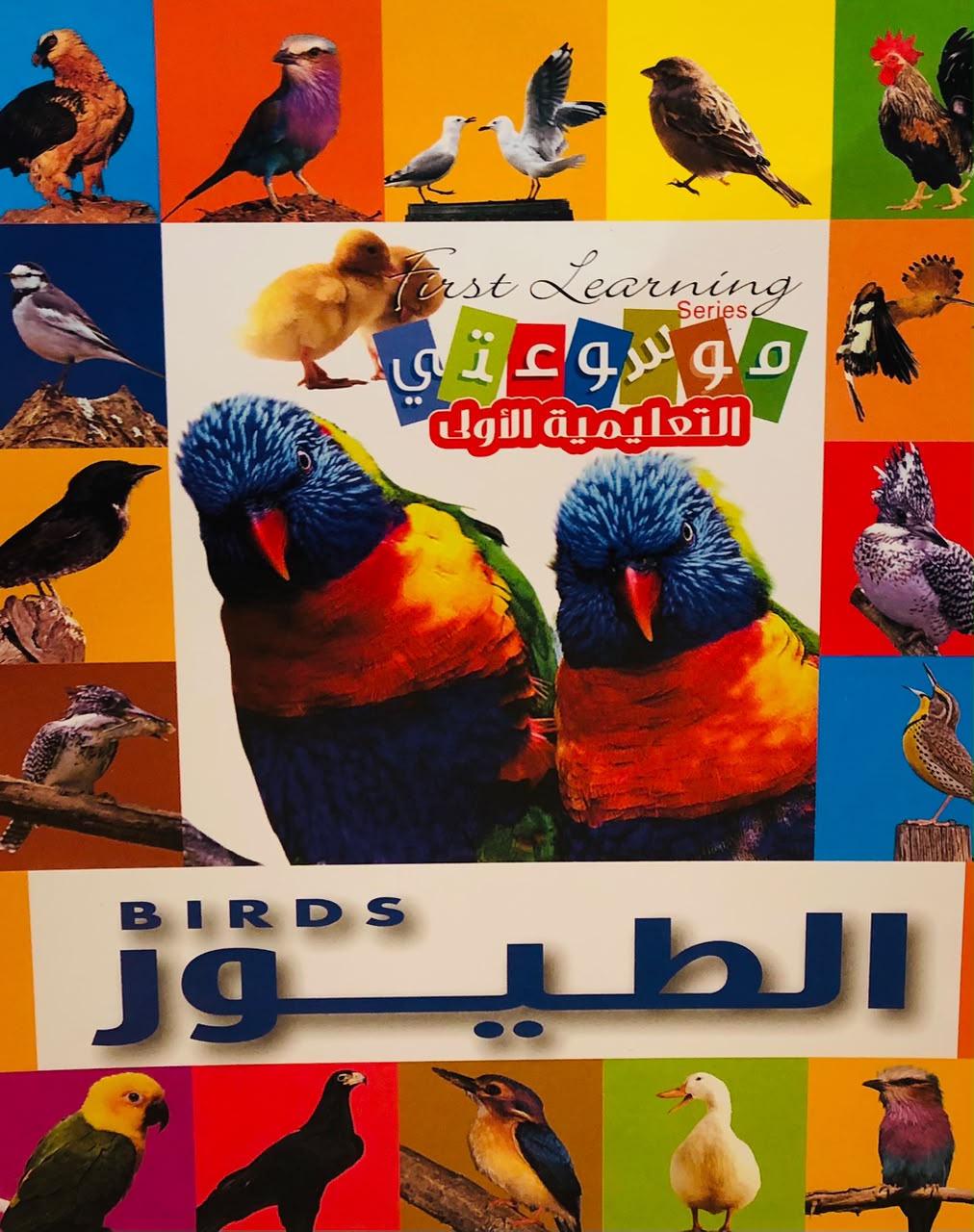 الطيور - موسوعتي التعليمية الاولى