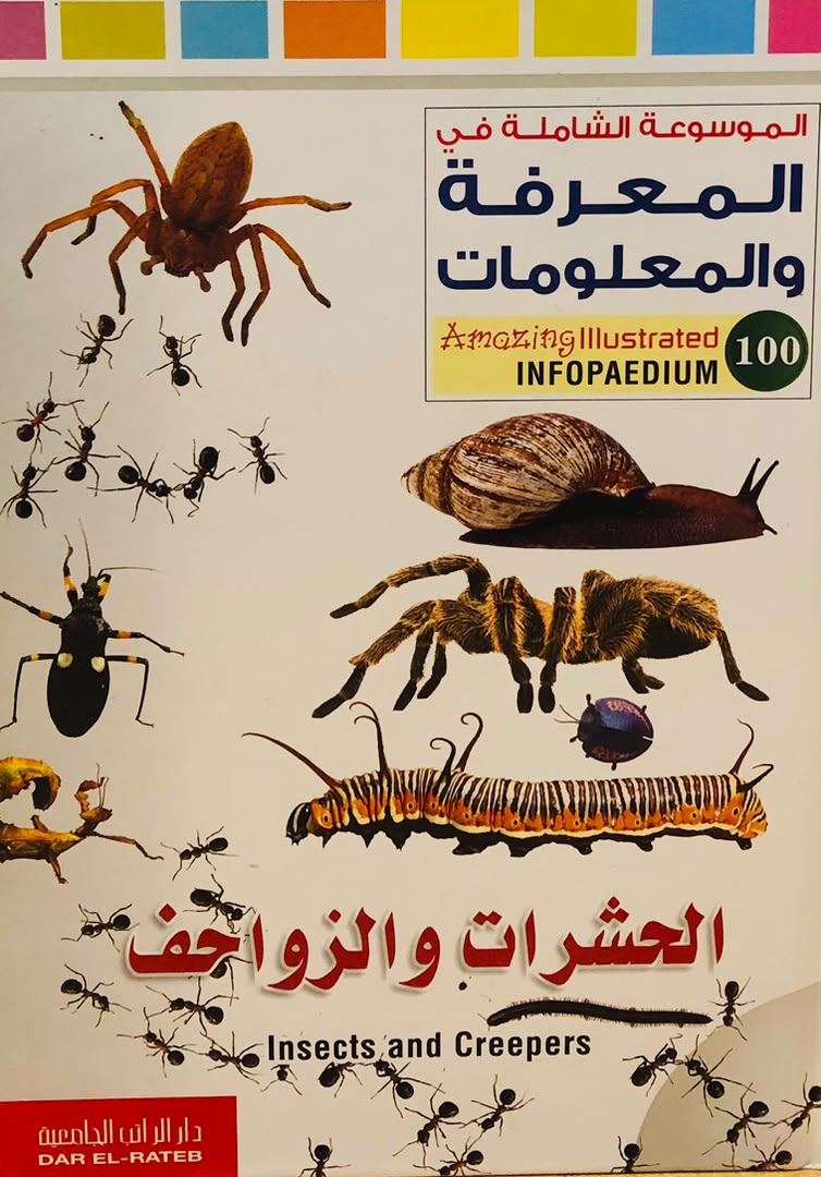 الحشرات والزواحف - الموسوعة الشاملة في المعرفة والمعلومات