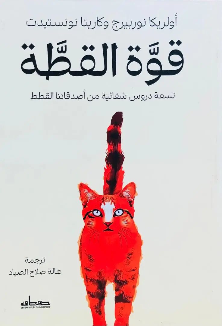 قوة القطة
