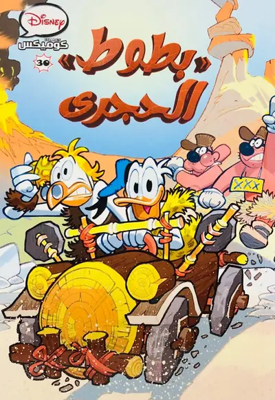 بطوط الحجري 30