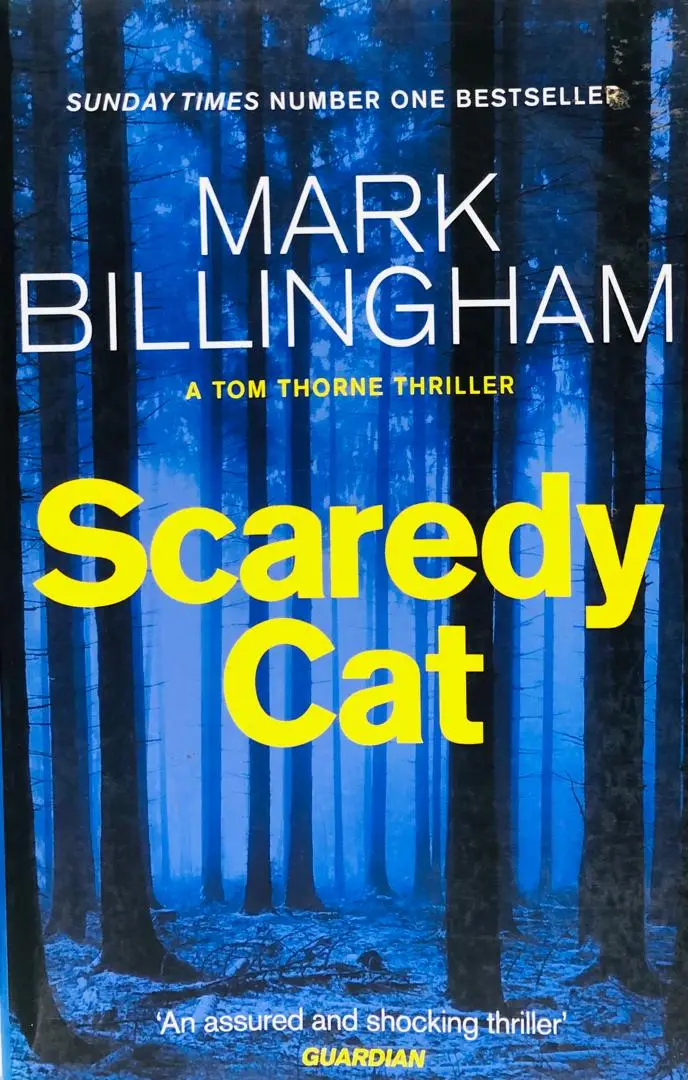 SCAREDY CAT