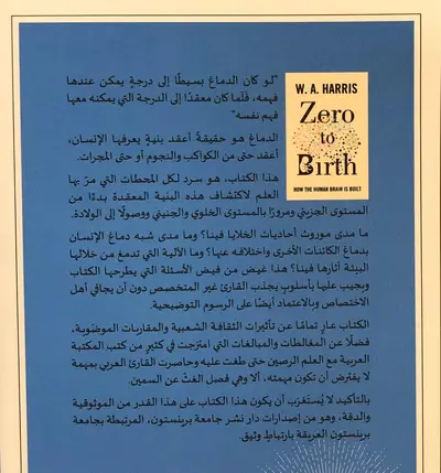 صورة 2