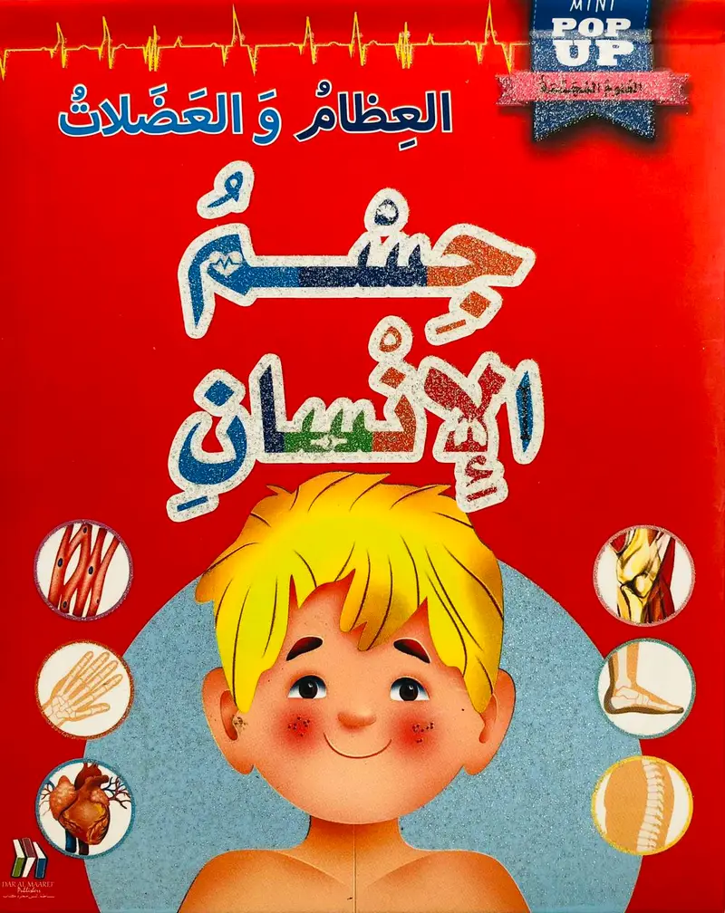 جسم الاناسان العظام والعضلات