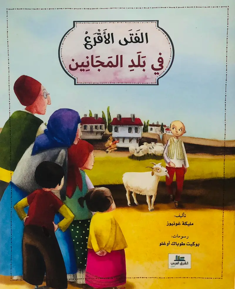 الفتى الاقرع في بلد المجانين