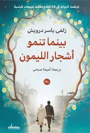 بينما تنمو اشجار الليمون