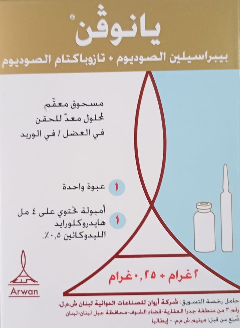 صورة 2