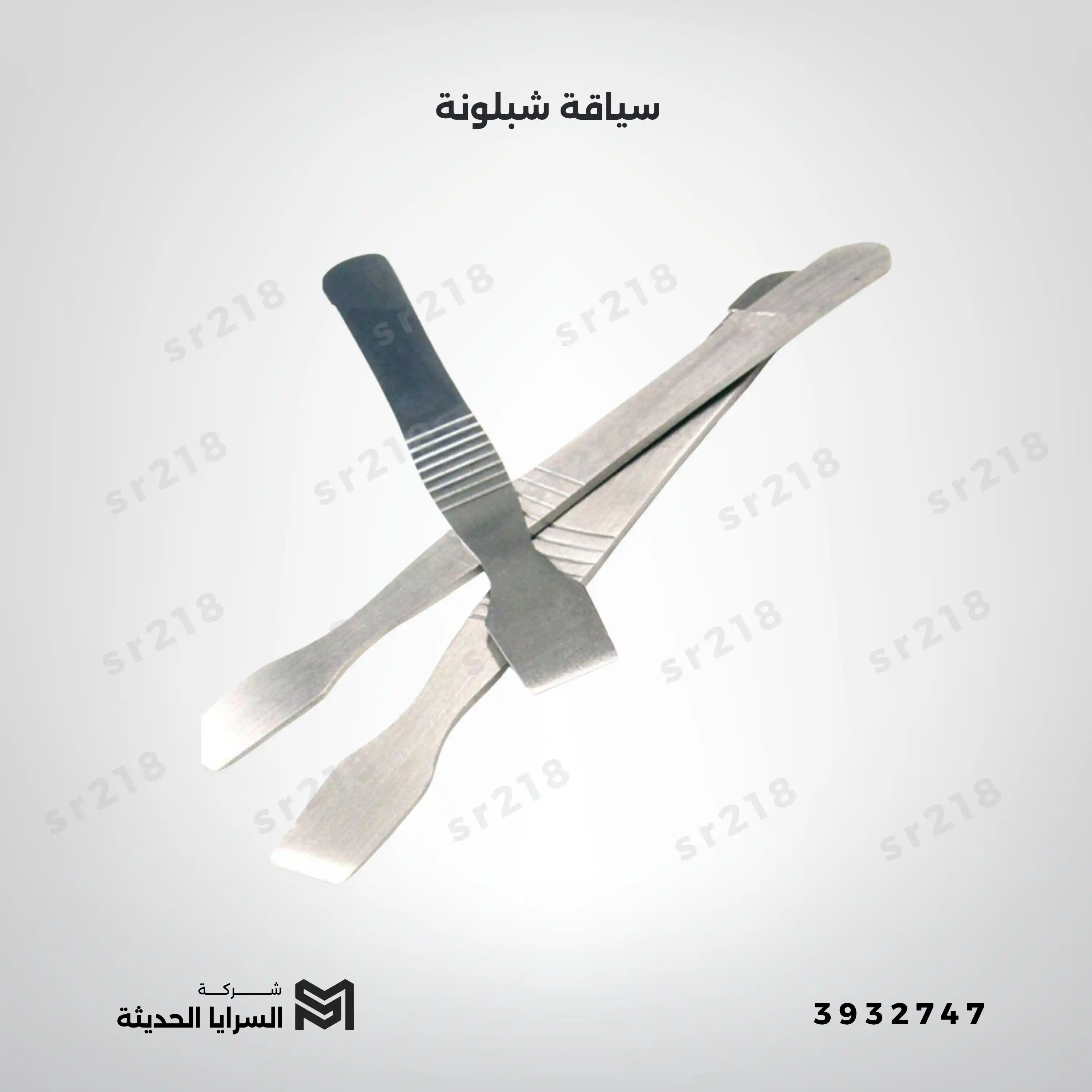 سياقة شبلونة