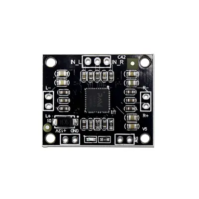 PAM 8610 2*15W AMPLIFIER تكبير صوت