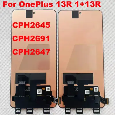 1+ 13R ORG LCD