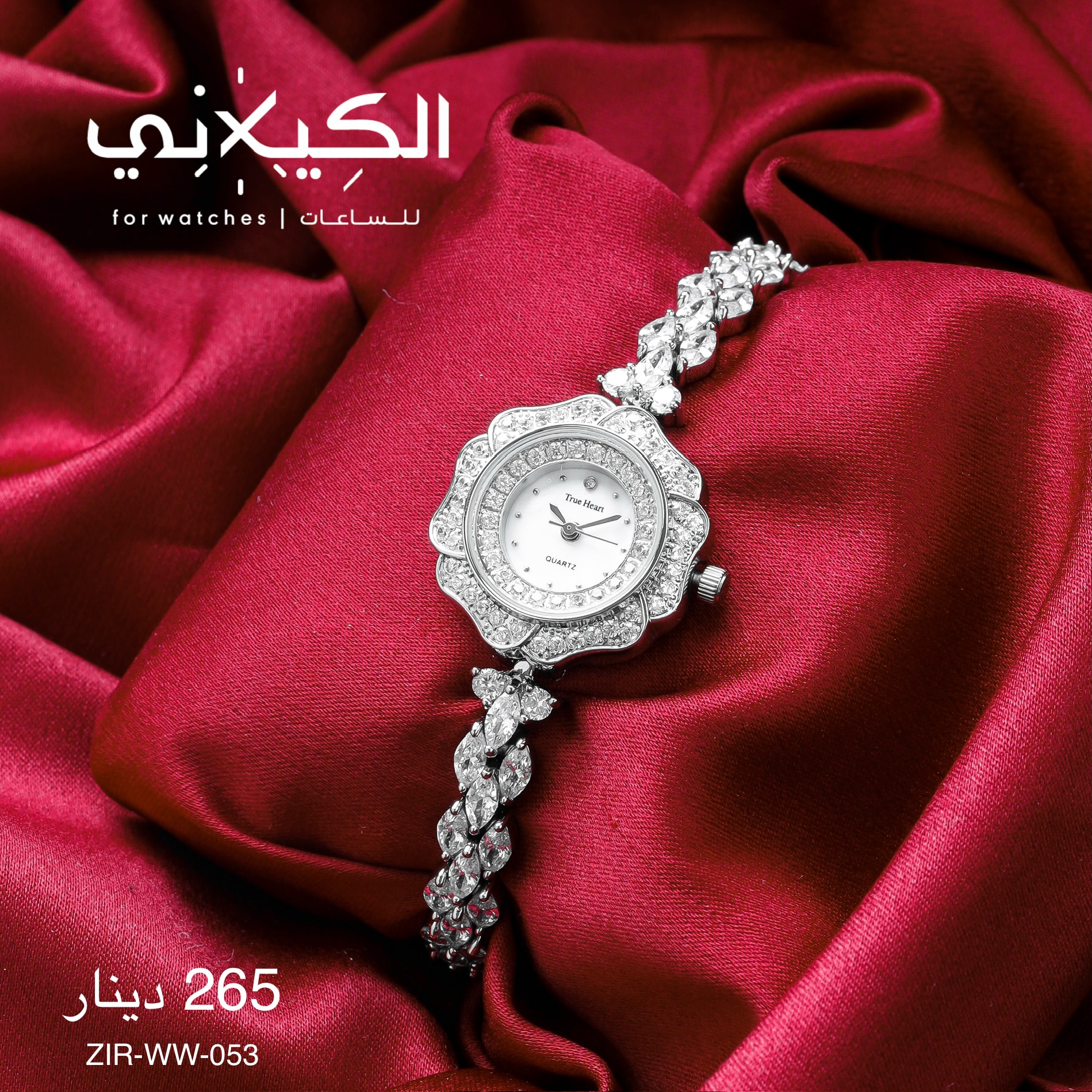 ساعة ZIRCON-WW-053